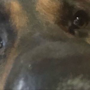 Meet your Posher, Noah